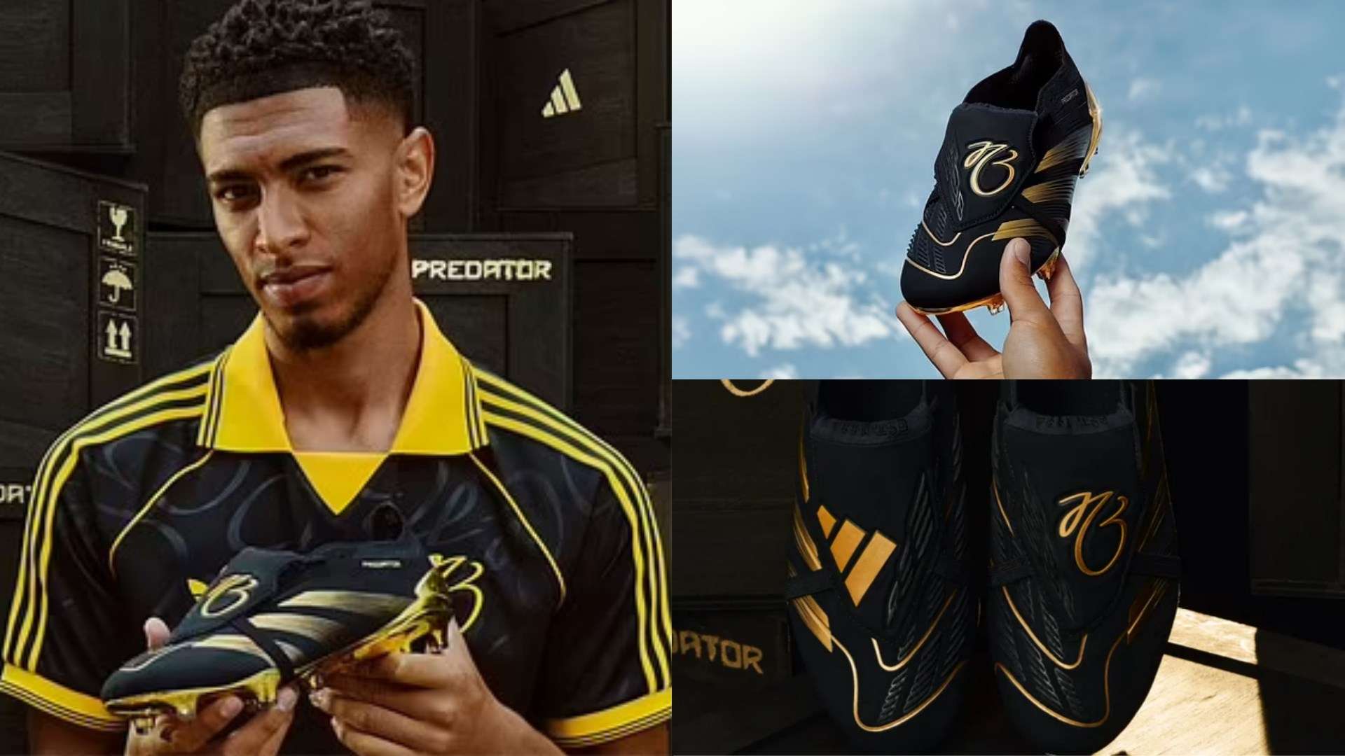 樊振东的 樊振东的